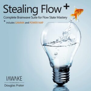 Stealing Flow Plus, iAwake