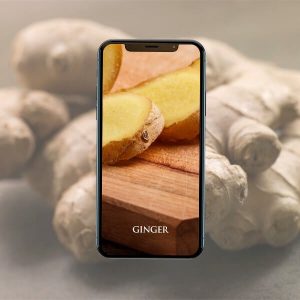 Ginger（ジンジャー）の日本語解説